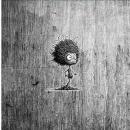 SET Bad Hair Day - Taschen/Kissenpanel - Canvas